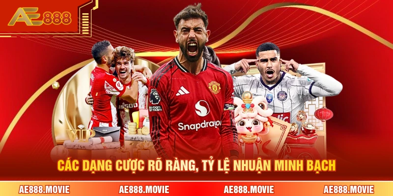 Các dạng cược rõ ràng, tỷ lệ nhuận minh bạch