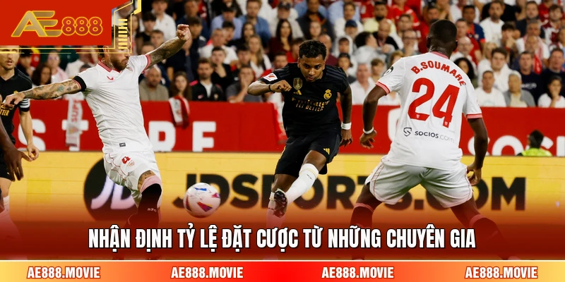 Nhận định tỷ lệ đặt cược từ những chuyên gia