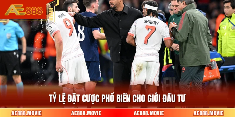 Tỷ lệ đặt cược phổ biến cho giới đầu tư